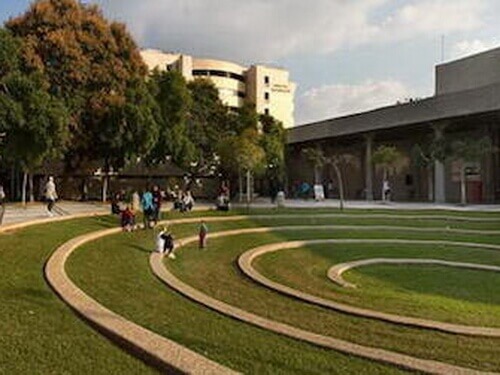 Медцентр Шиба