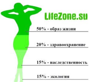 Основные факторы, влияющие на здоровье