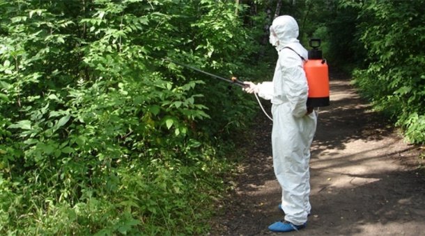 Фото: votkinskda.ru