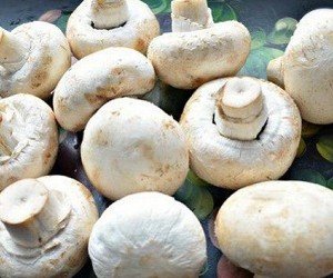 Хорошо знакомый всем продукт питания защитит от онкологии Хорошо знакомый всем продукт питания защитит от онкологии