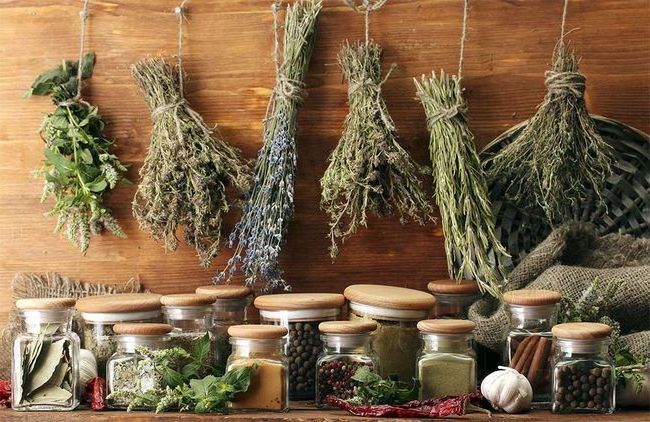 Травы для настоек