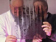 Исследователи нашли «переключатель», отвечающий за рост опухолей Исследователи нашли «переключатель», отвечающий за рост опухолей
