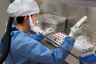 Ученые создали искусственный вирус, способный уничтожить раковые клетки Ученые создали искусственный вирус, способный уничтожить раковые клетки