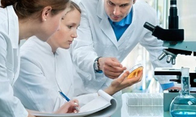 виды лимфосаркомы