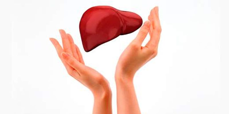 Печень: как сохранить ее здоровой Печень: как сохранить ее здоровой