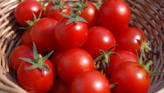 Помидоры – вкусная защита от рака кожи Помидоры – вкусная защита от рака кожи