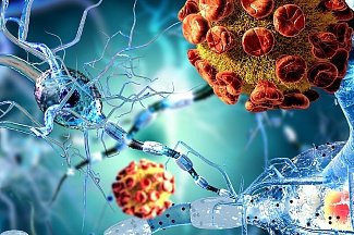 Новый метод лечения глиобластомы мозга продемонстрировали сотрудники института в Бостоне, США Медицинские новости: Онкология Новый метод лечения глиобластомы мозга продемонстрировали сотрудники института в Бостоне, США Новый метод лечения глиобластомы мозга продемонстрировали сотрудники института в Бостоне, США Медицинские новости: Онкология Новый метод лечения глиобластомы мозга продемонстрировали сотрудники института в Бостоне, США