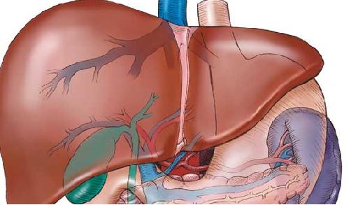Портальная гипертензия как нарушение в системе оттока крови в воротной вене