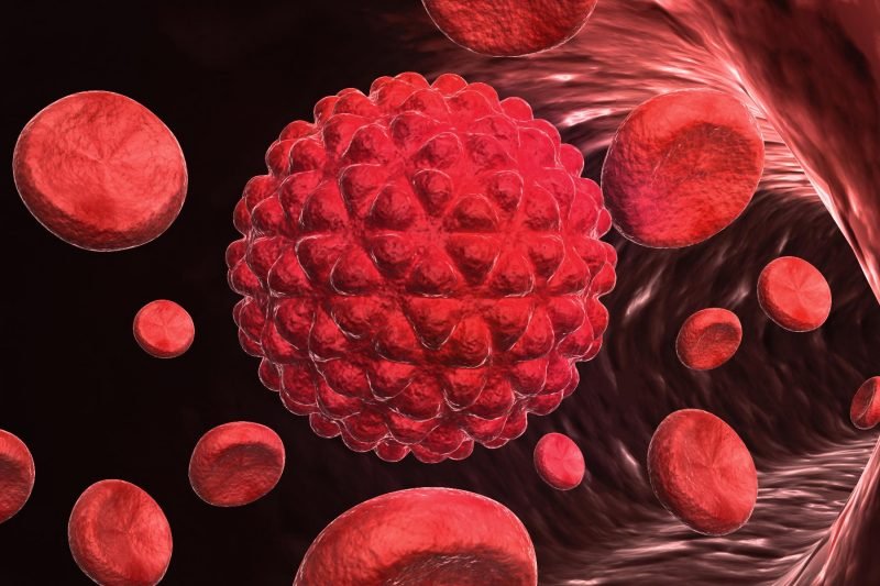 Эритроциты