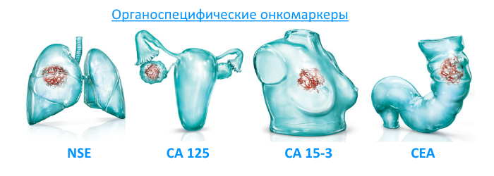 Онкомаркеры на рак